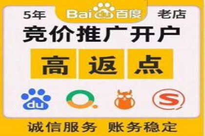 SEM优化技巧：实战案例深度剖析